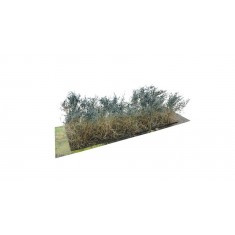 Bushes #Sage Green Type C (Grass length 40-50mm, 10pcs)