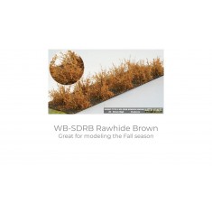 Bushes Arid Rawhide Brown Type D (10pcs, Height 20-30 mm, sheet 180x60 mm)