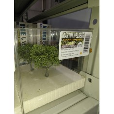 Small Tree # Spring Green (3pcs, each 60-80mm)