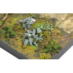 1/35 Plants & Weeds #E