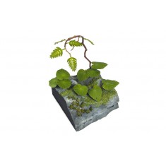 1/35 Jungle Plants C