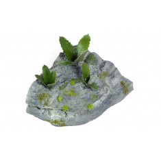 1/35 Jungle Plants E