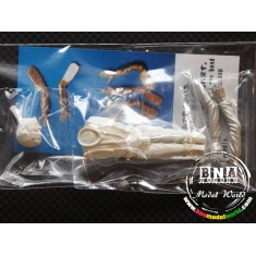 1/20 Driver's Figure Version.F (Jim Clark)