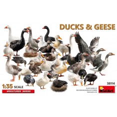 1/35 Ducks and Geese (33 birds)