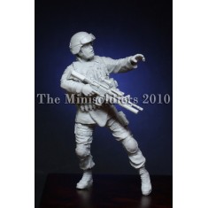 1/35 Soldier of 10th Mountain Division (1 figure)