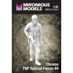 1/35 Chinese PAP Special Forces #4