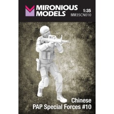 1/35 Chinese PAP Special Forces #10