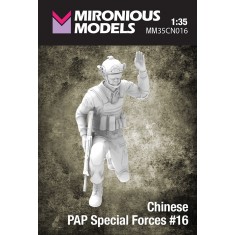 1/35 Chinese PAP Special Forces #16