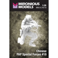 1/35 Chinese PAP Special Forces #18