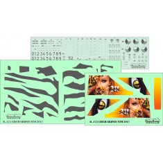 1/48 Czech Gripen NTM 2017 Decal for Italieri kits (decal)