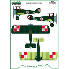 1/32 POLISH SOPWITH CAMEL (mask and decal)
