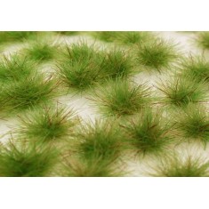 Two Coloured Tufts - Spring 