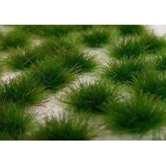 Two Coloured Tufts - Early Summer 