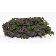 Fine Bushes Flowering Shrubs - Lilac
