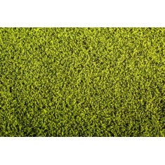 [Argo-Line] Grass Mat - Alfalfa (Size: 18x28cm)