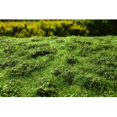 [Premium Line] Grass Mat - Low Bushes, Early Summer (Size: 18x28cm / 7"x11")