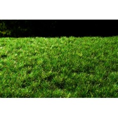 Grass Tufts - Dark Green  (Size of Sheet: 18x28cm, Grass: 6mm)