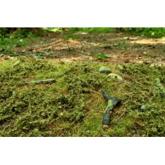 Forest Base - Spring (Size: 18x28cm / 7"x11")