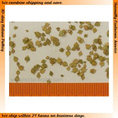 1/32, 1/35 Lime Leaves - Extra Colours, Autumn (100pcs)
