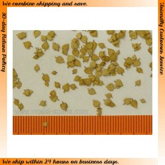 1/32, 1/35 Lime Leaves - Dry (100pcs)