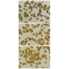 1/32, 1/35 Lime Leaves - 3 Colours set (300pcs)