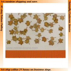 1/45, 1/48 Maple Leaves - Extra Colours, Autumn (60pcs)