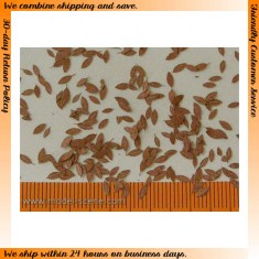 1/45, 1/48 Universal Leaves - Dry (160pcs)