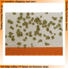 1/72, 1/87 Lime Leaves - Green