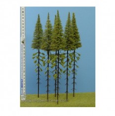 Larches with Trunk 280-320mm (5pcs)