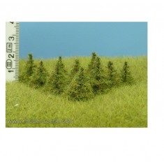 1/32, 1/35 15mm Larch (10pcs)