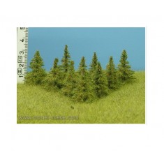 1/32, 1/35 25-35mm Larch (8pcs)