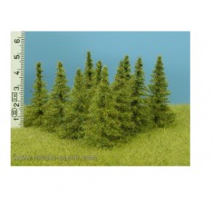 1/32, 1/35 40-60mm Larch (9pcs)