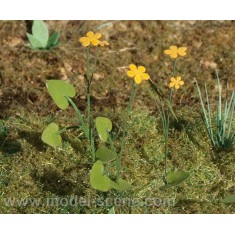 1/32, 1/35 Marsh Marigold (6 Laser-cut Paper Sheets)
