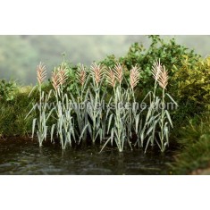 1/72, 1/87 Reeds (1 Coloured Photoetch sheet)