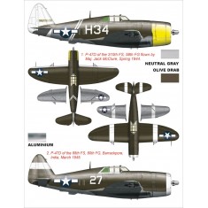 1/24 WWII US P-47D Razorback Canopy and Insignia Masks for Trumpeter kit