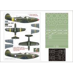 1/48 P-39 Airacobra Paint Mask Vol.2 for Hasegawa (Canopy Masks + Insignia Masks + Decals)