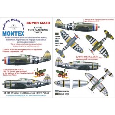 1/48 P-47D Razorback Paint Mask Vol.1 for Tamiya (Canopy Masks + Insignia Masks + Decals)