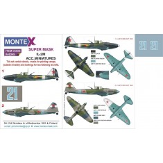 1/48 Ilyushin IL-2M Sturmovik Paint Mask for Accurate Miniatures kit