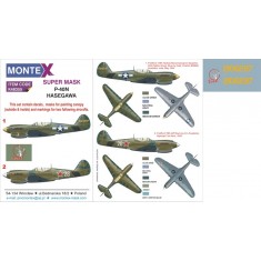 1/48 P-40N Paint Mask for Hasegawa kits (Insignia & Canopy Masks + Decals)