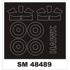 1/48 Curtiss Hawk III Paint Masks for Freedom Model Kit (Outside & Inside)