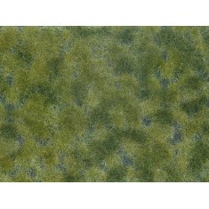 Groundcover Foliage Medium Green (12 x 18 cm)