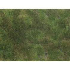 Groundcover Foliage Olive Green (12 x 18 cm)