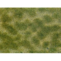 Groundcover Foliage Green/Beige (12 x 18 cm)