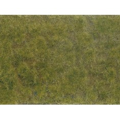 Groundcover Foliage Green/Brown (12 x 18 cm)