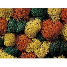 Lichen (autumn mix, 75g) For G,O,HO,HOE,HOM,TT,N,Z Scale