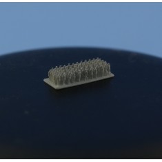1/700 Imperial Russian Navy Parade Figures