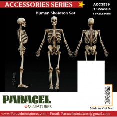 1/35 Human Skeleton Model Set (3pcs)