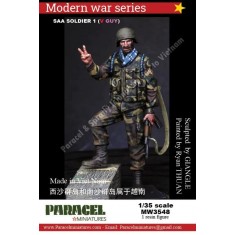 1/35 SAA Soldier 1 (V. Guy)