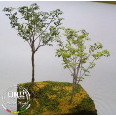 1/35 Banyan - Paper Plant kit