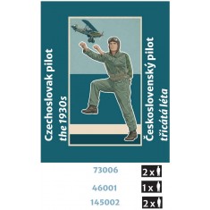 1/48 Czechoslovak Pilot 1930s #1 (3D Printed)